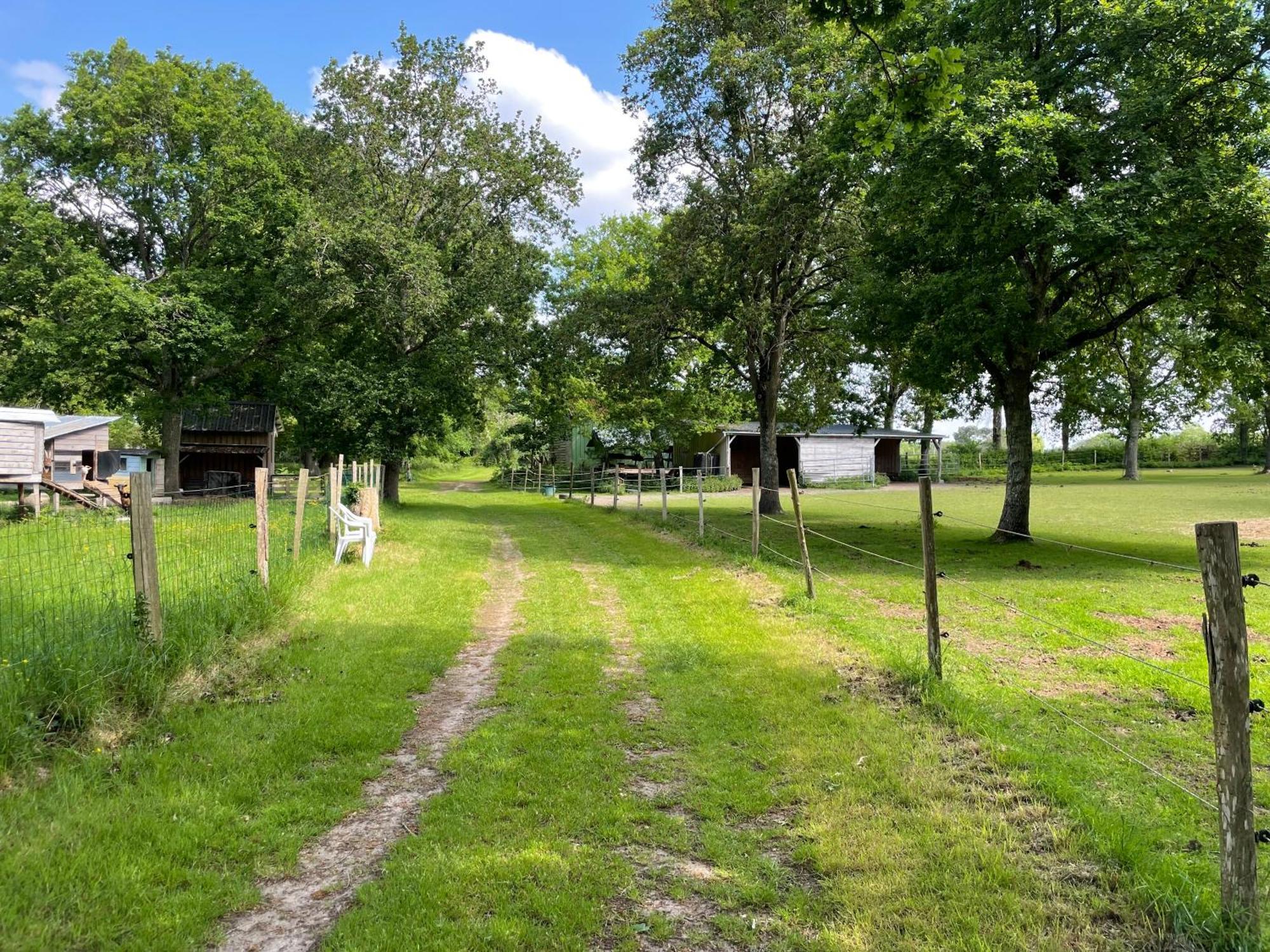 Les Fermes De Kercadoret Belz Bagian luar foto